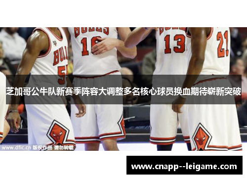 芝加哥公牛队新赛季阵容大调整多名核心球员换血期待崭新突破