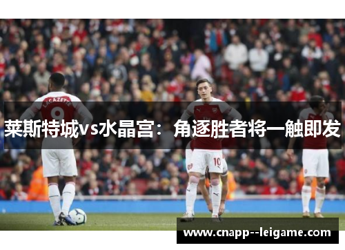 莱斯特城vs水晶宫：角逐胜者将一触即发